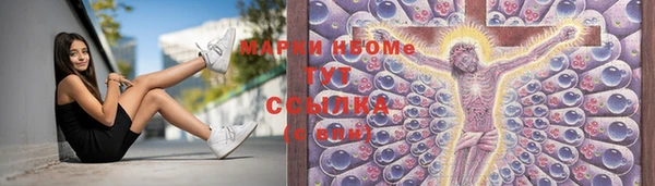 молекула духа Покров