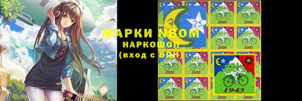 молекула духа Покров