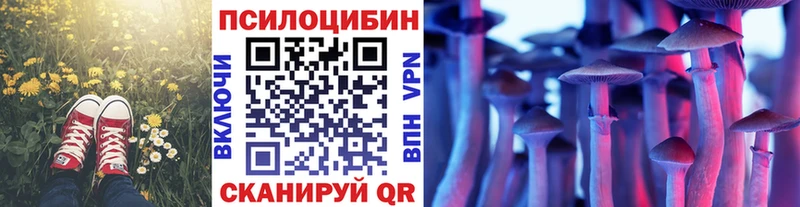 купить   Тимашёвск  Псилоцибиновые грибы ЛСД 